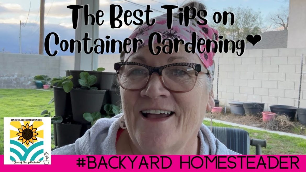 The Best Tips on (Container Gardening) The Best Tips on (Container Gardening)