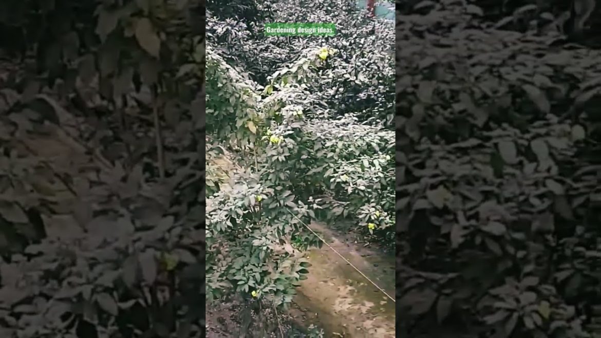 Gardening design ideas. #viralvideo #viral #gardening #design #shorts