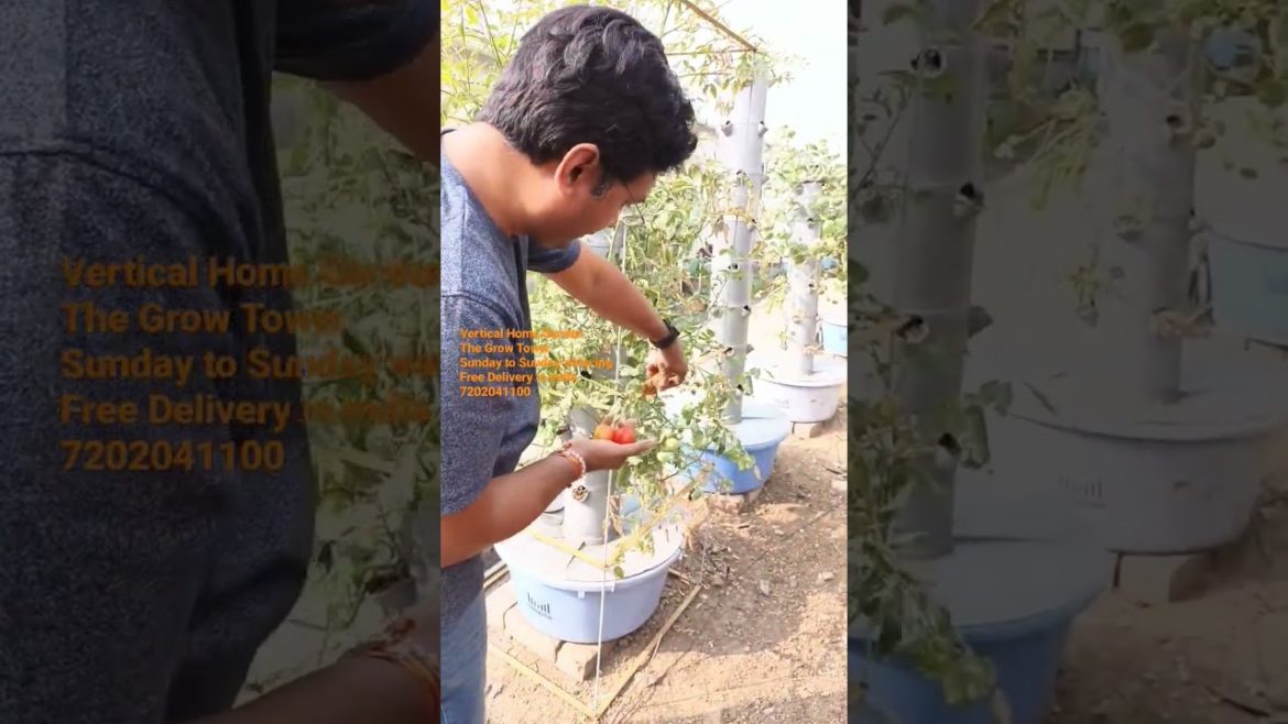 Vertical Home Garden The Grow Tower.