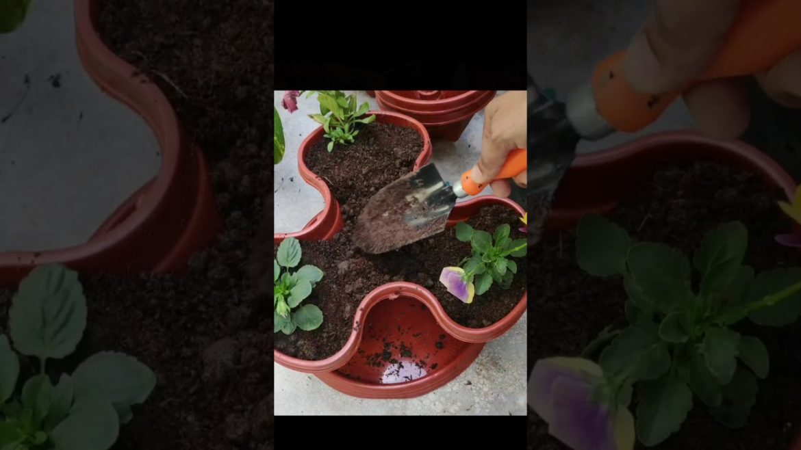 Space Saving Unique Plastic Pot#shorts