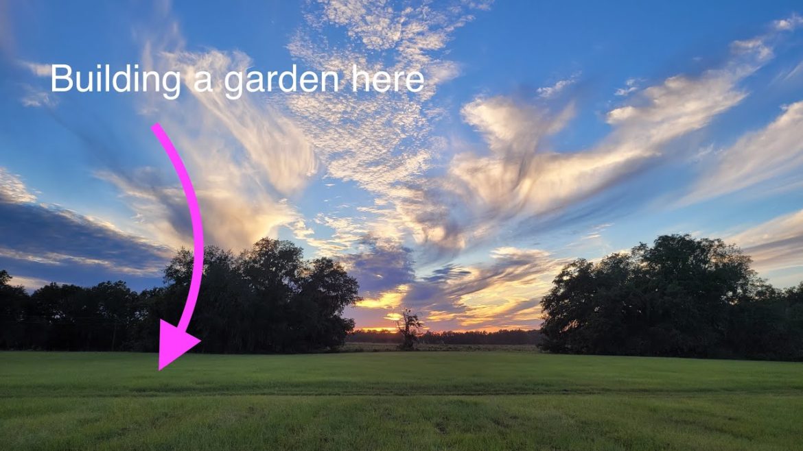 Garden Design, Development and Construction #3