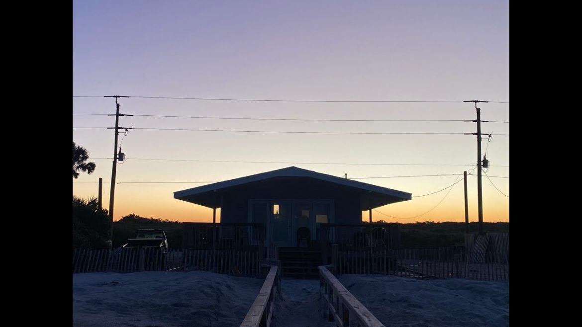 Ponte Vedra Beach House Landscape Renovation (Jacksonville, Florida): Part I