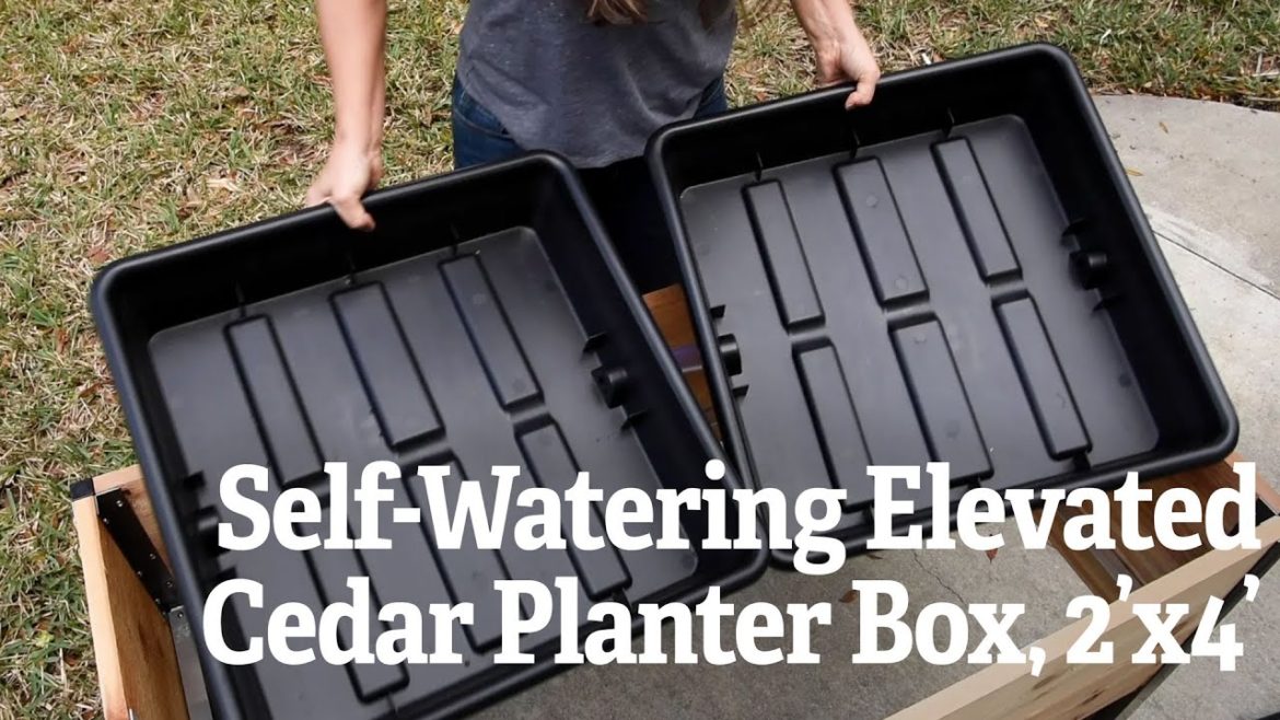 Self-Watering Elevated Cedar Planter Box, 2’x4’ Self-Watering Elevated Cedar Planter Box, 2’x4’