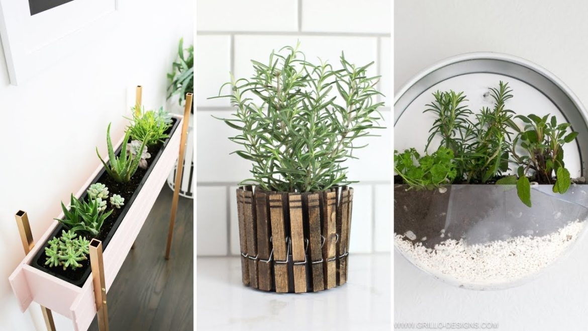 10 Clever and Cheap Indoor Garden Ideas 10 Clever and Cheap Indoor Garden Ideas