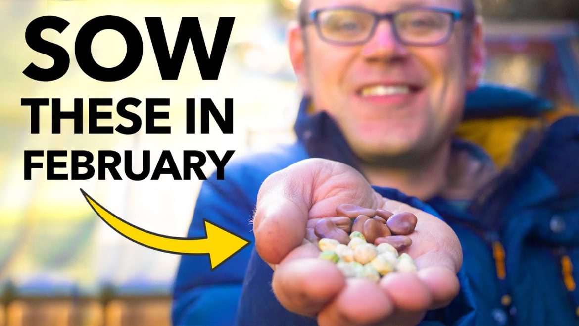 You Must Sow These Seeds in February