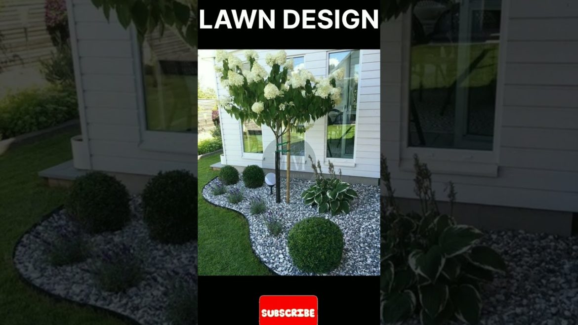 Lawn Design || Patio Design Ideas || Front yard🌸🌼 #short #shorts #youtubeshorts #youtube #garden