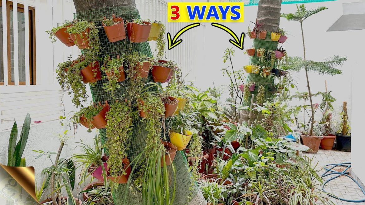 3 EASY DIY VERTICAL GARDEN IDEAS FOR HOME GARDEN 3 EASY DIY VERTICAL GARDEN IDEAS FOR HOME GARDEN