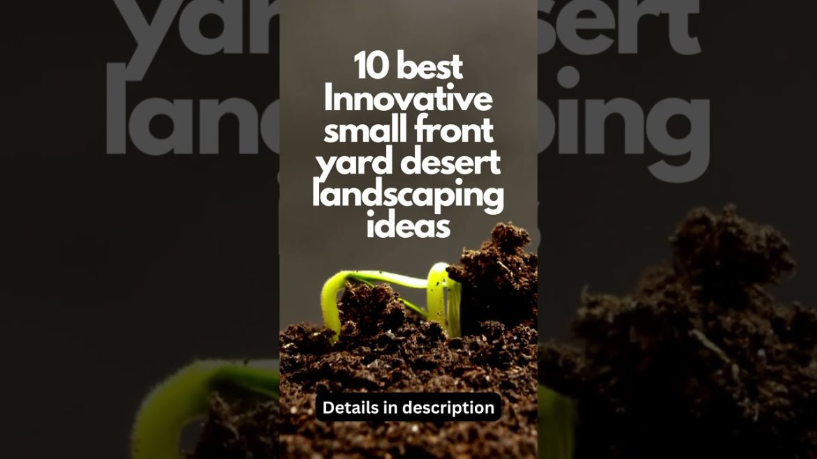 10 best Innovative small front yard desert landscaping ideas 10 best Innovative small front yard desert landscaping ideas