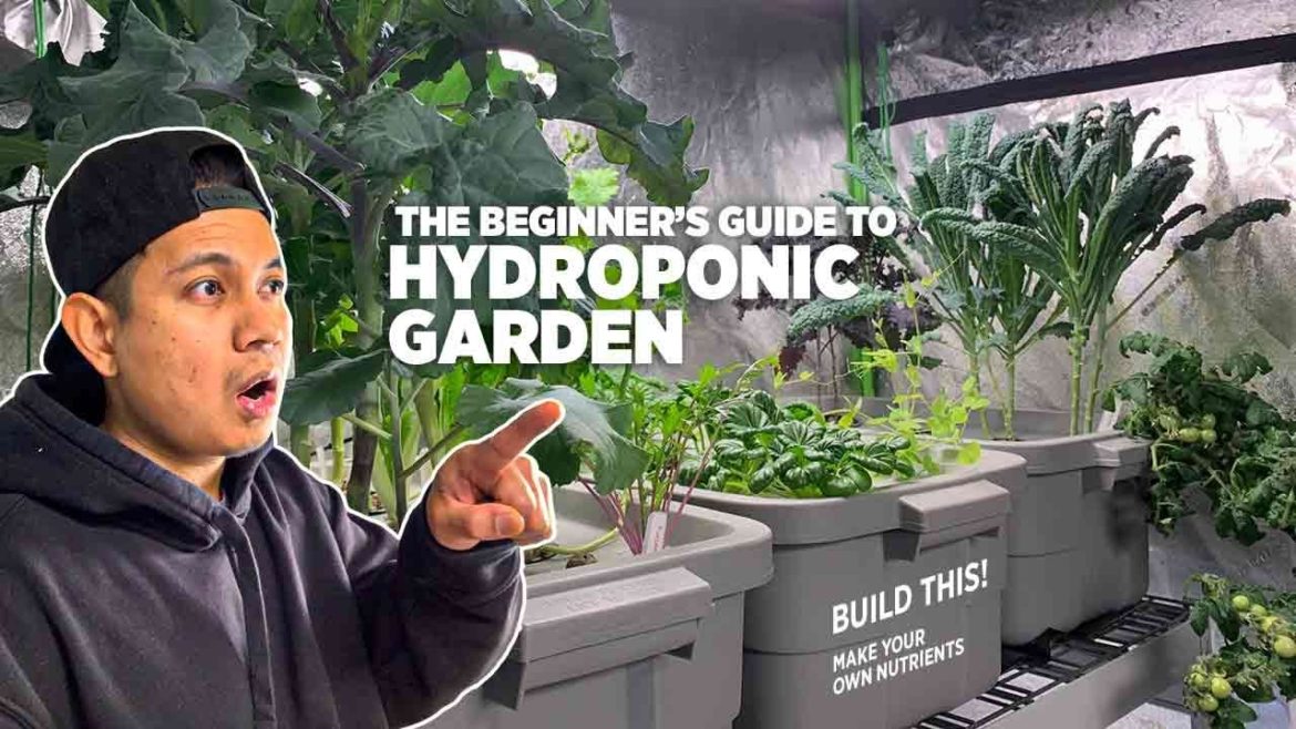 The beginner's guide to hydroponic garden, plus DIY Containers and Homemade liquid nutrients The beginner's guide to hydroponic garden, plus DIY Containers and Homemade liquid nutrients