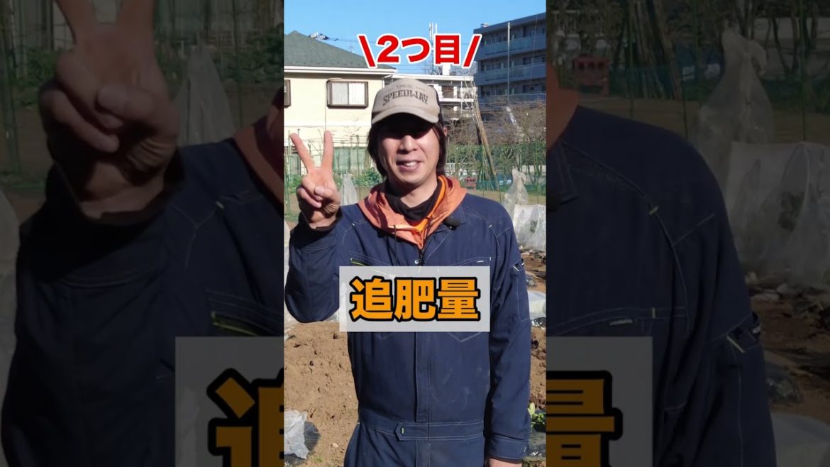 家庭菜園でやりたい!イチゴ栽培で1月の追肥作業!これで甘いイチゴが大量収穫! #shorts /Strawberry fertilizing tips from a Japanese farmer. 家庭菜園でやりたい!イチゴ栽培で1月の追肥作業!これで甘いイチゴが大量収穫! #shorts /Strawberry fertilizing tips from a Japanese farmer.