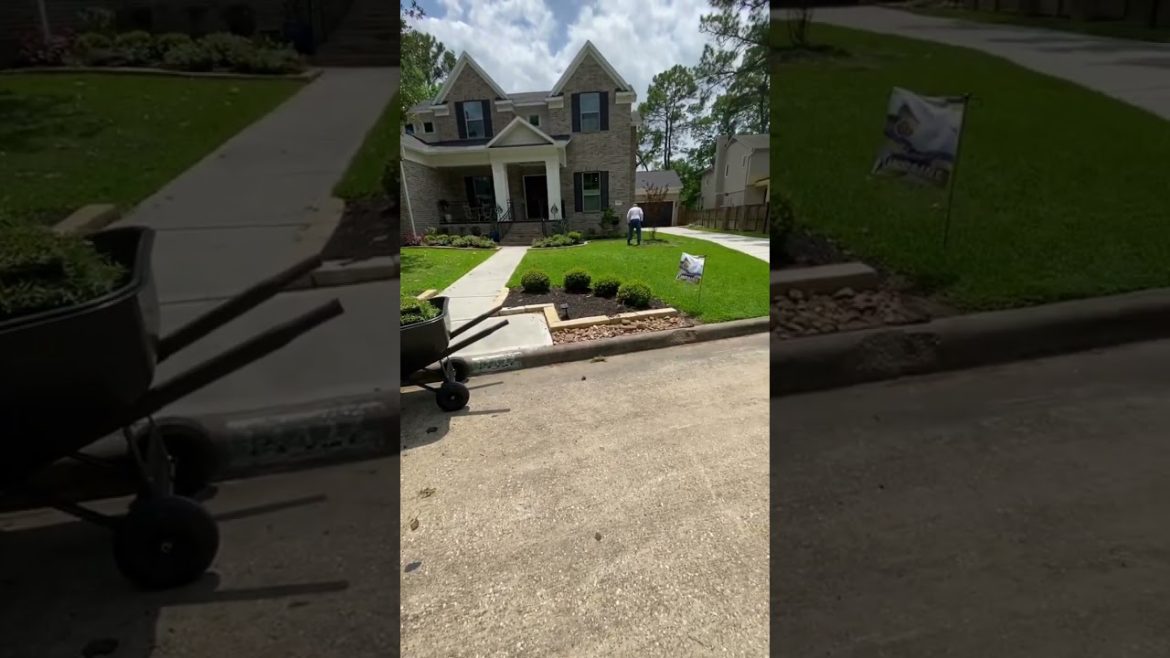 I don’t ever do anything at work #shorts