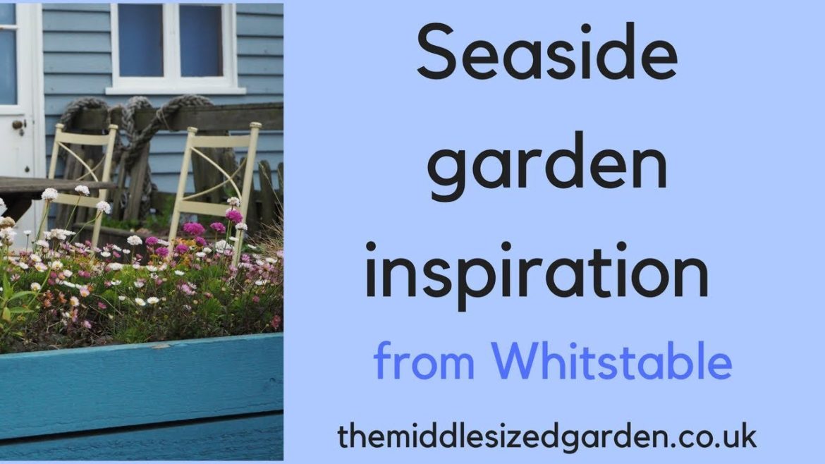 Beautiful beach garden ideas from Whitstable