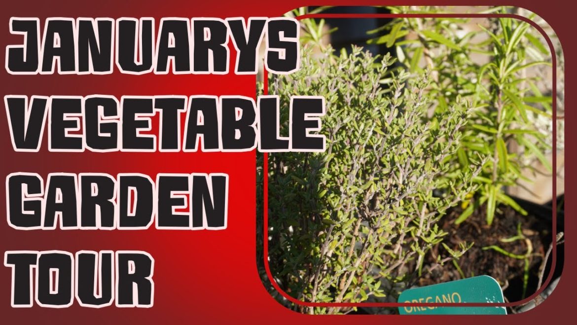 January's vegetable garden tour