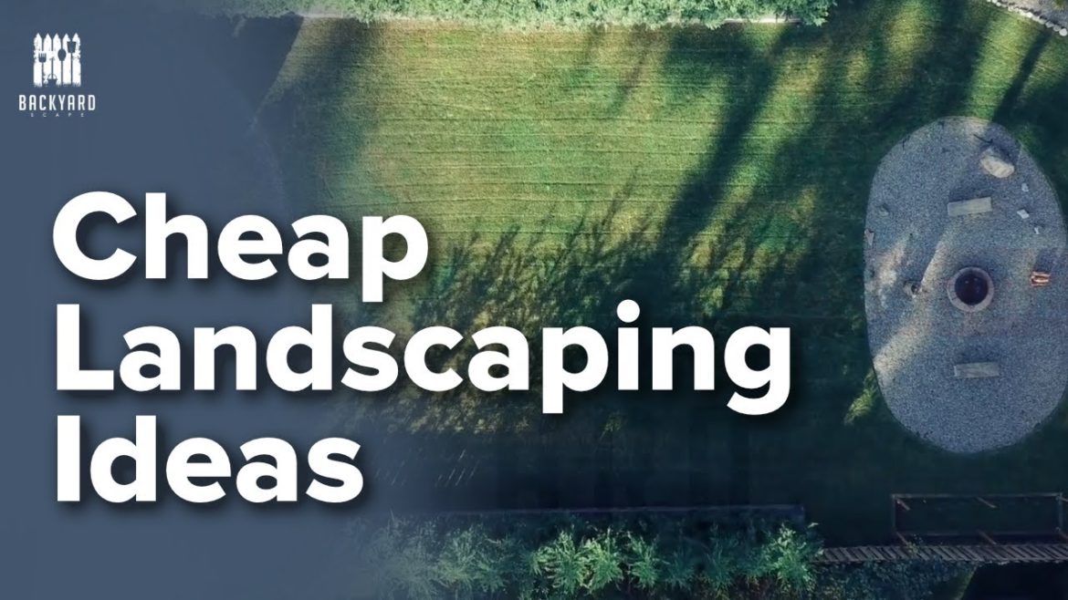 Get Creative with Cheap Landscaping Ideas That Look Great!