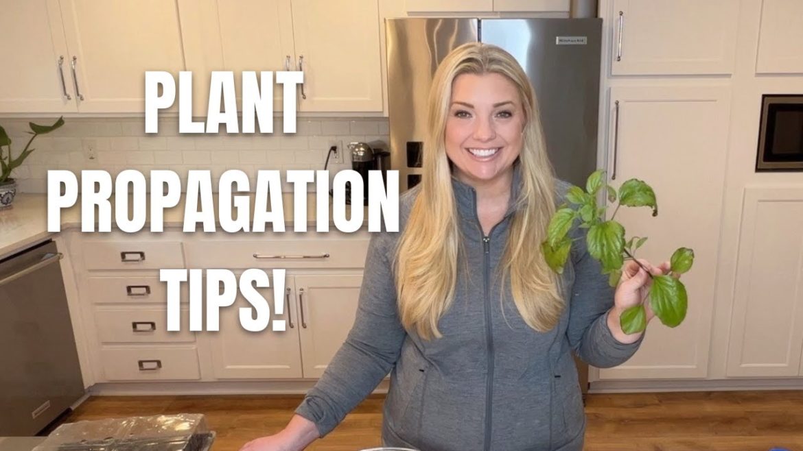 Master Gardeners Week 4! :: PART 2 :: Plant Propagation Tips and Tricks!