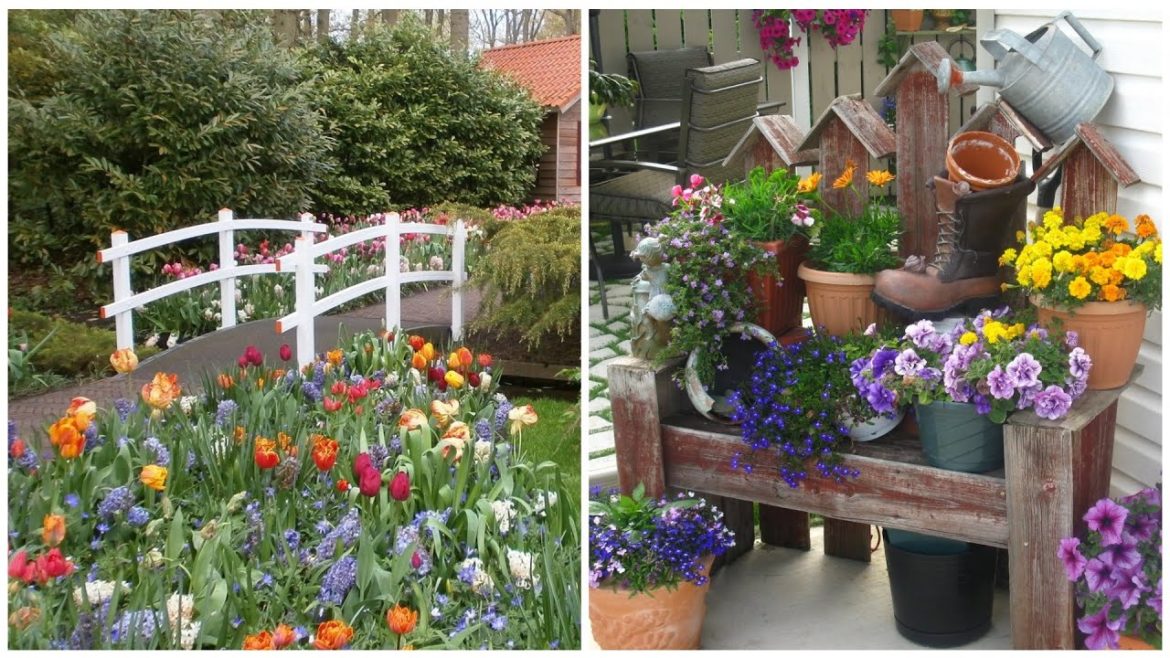 Flowers and plants in the landscape design of the garden, yard! 40 beautiful ideas!