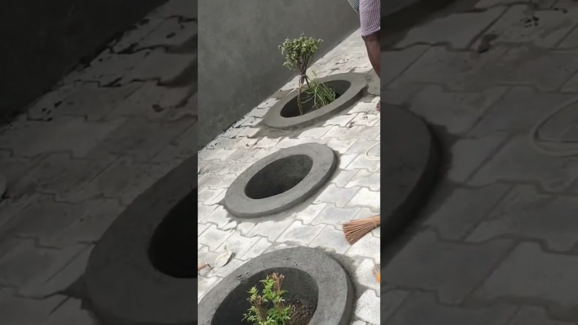 GBC's small garden ideas #design #garden #gardening #interiordesign #budget #construction #plants