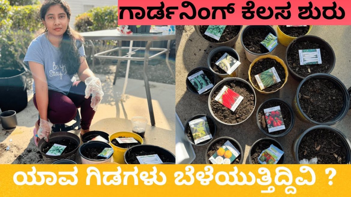 Indian Vegetable Gardening | Gardening Vlog In Kannada | Power House Kannada Vlog #kannadavlogs