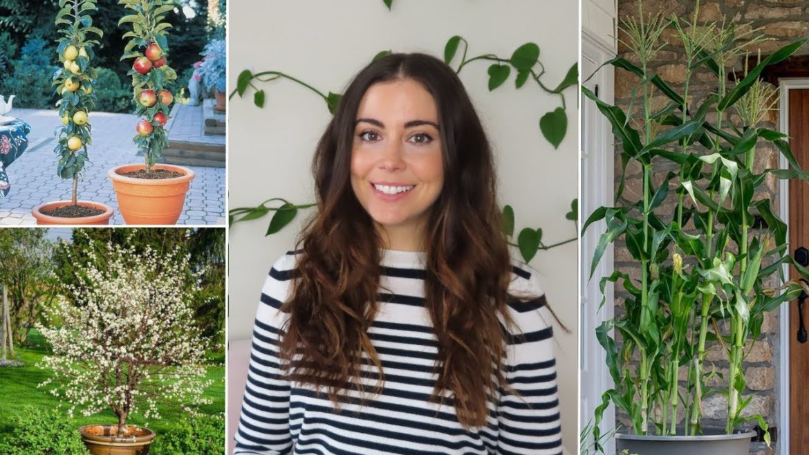 New Plants I'm Growing This Year | It's Time for the Container Orchard!