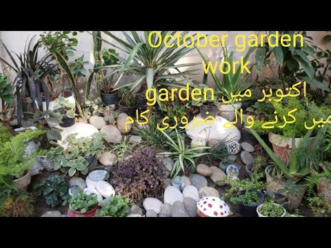 How to make small garden landscape ideas with gardening work vlog How to make small garden landscape ideas with gardening work vlog