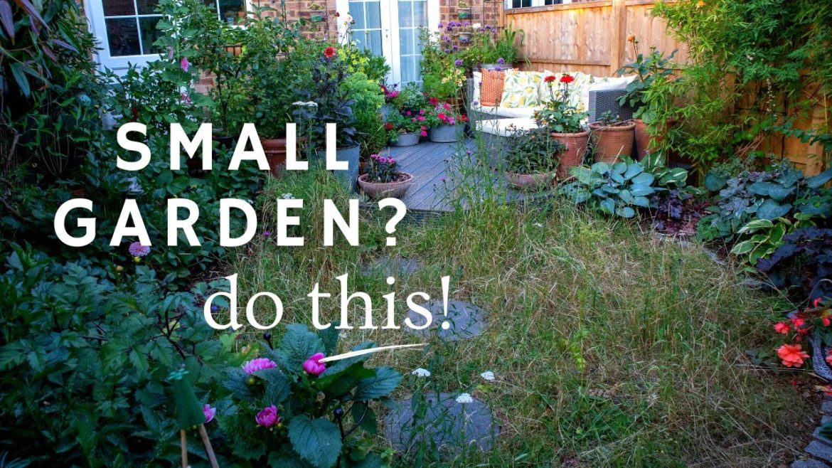 9 Tips to Thrive in a Small Rented Garden (5 is a must do!) 🏡🫶 9 Tips to Thrive in a Small Rented Garden (5 is a must do!) 🏡🫶