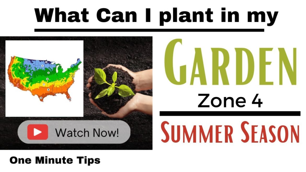 One Minute Tips - Garden - ZONE 4 -What can I Plant in my Garden for Summer Season!