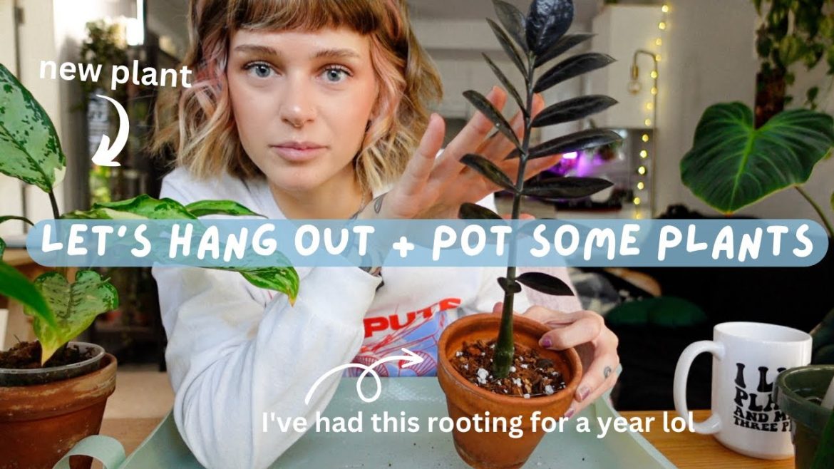 chatty repot with me 🌱  life chats, my container garden, reading updates, etc
