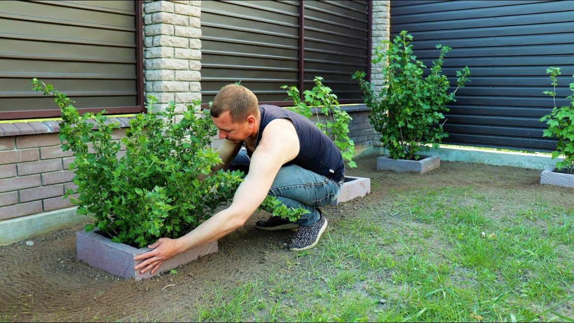 Amazing ideas for decorating a cement garden | Beautiful garden design  ASMR