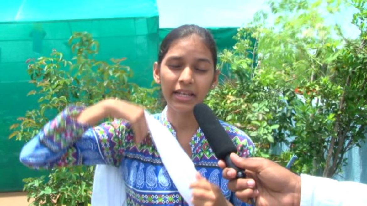Terrace / rooftop organic vegetable gardening