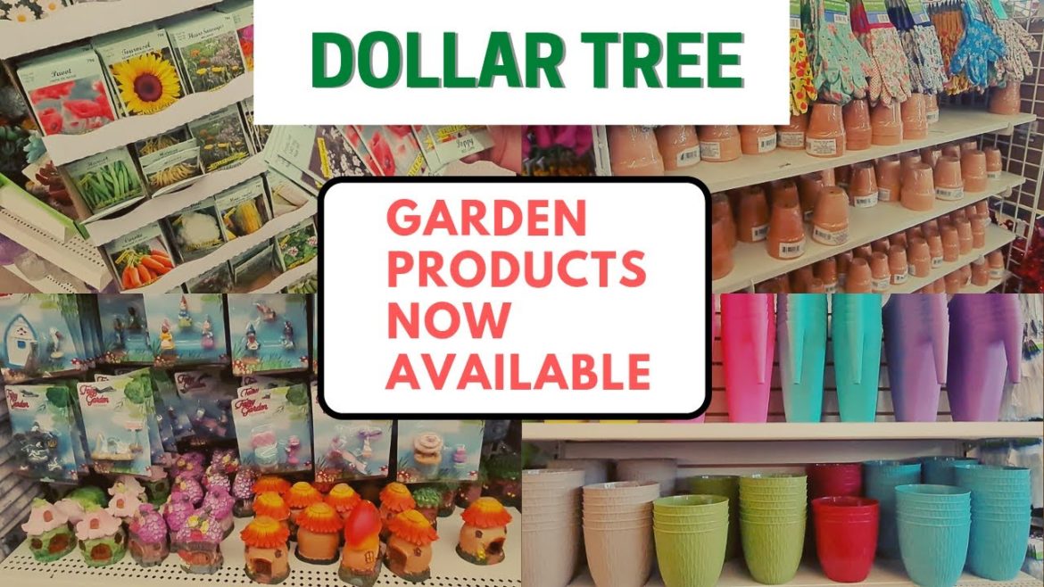 DOLLAR TREE NEW GARDEN PRODUCTS NOW AVAILABLE #gardener #dollartree #gardening #new #trending DOLLAR TREE NEW GARDEN PRODUCTS NOW AVAILABLE #gardener #dollartree #gardening #new #trending
