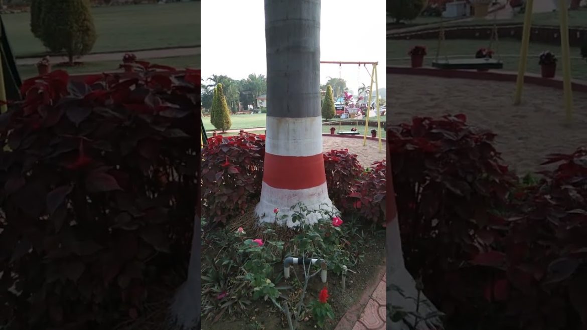 Ash Modern Front Yard Garden Landscaping Ideas | Ash Garden Ideas|diy front yard garden design ideas