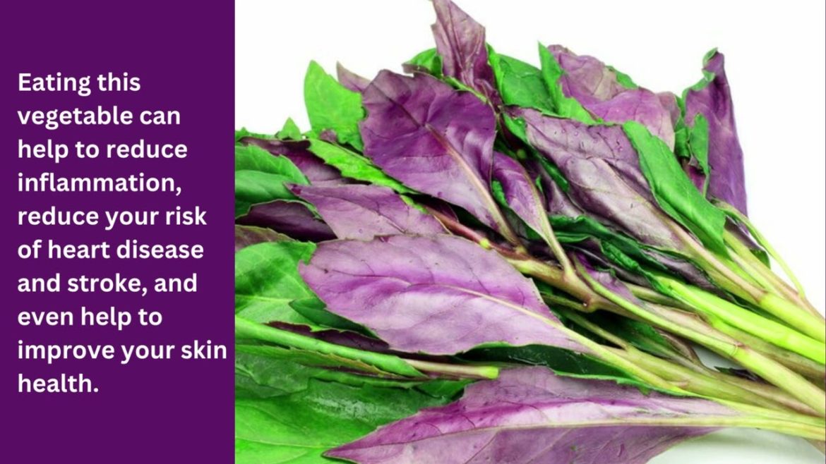 2 Healthiest Edible Ground Cover for Permaculture Garden