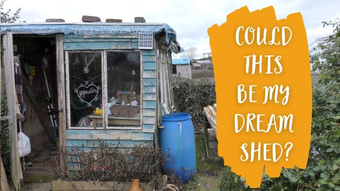 BIG PLANS FOR THE SHED - there's a long way to go!