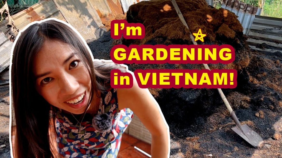Issues Urban Gardeners Face In Vietnam, and Ways to Fix