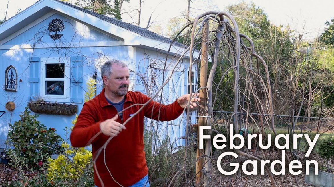 The Busiest Gardening Month? – February Garden Checklist The Busiest Gardening Month? - February Garden Checklist