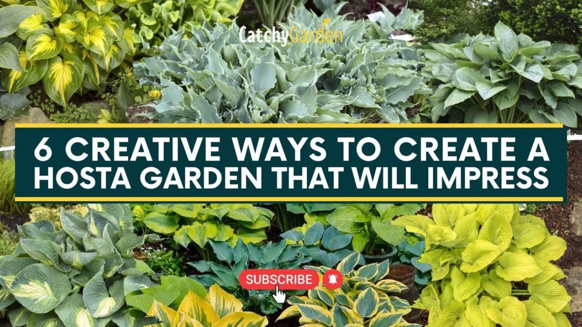 6 Creative Ways to Create a Hosta Garden That Will Impress 🍃🌿 // Gardening Tips 6 Creative Ways to Create a Hosta Garden That Will Impress 🍃🌿 // Gardening Tips