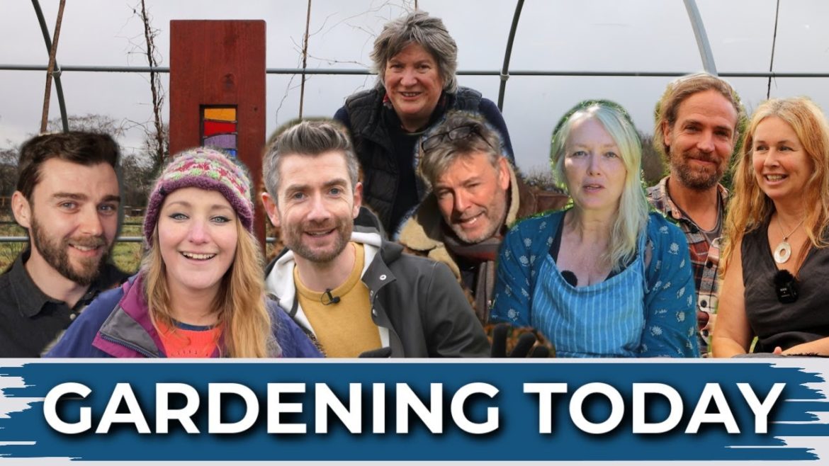 What to do in the Garden in Late Winter | February Gardening Guide What to do in the Garden in Late Winter | February Gardening Guide