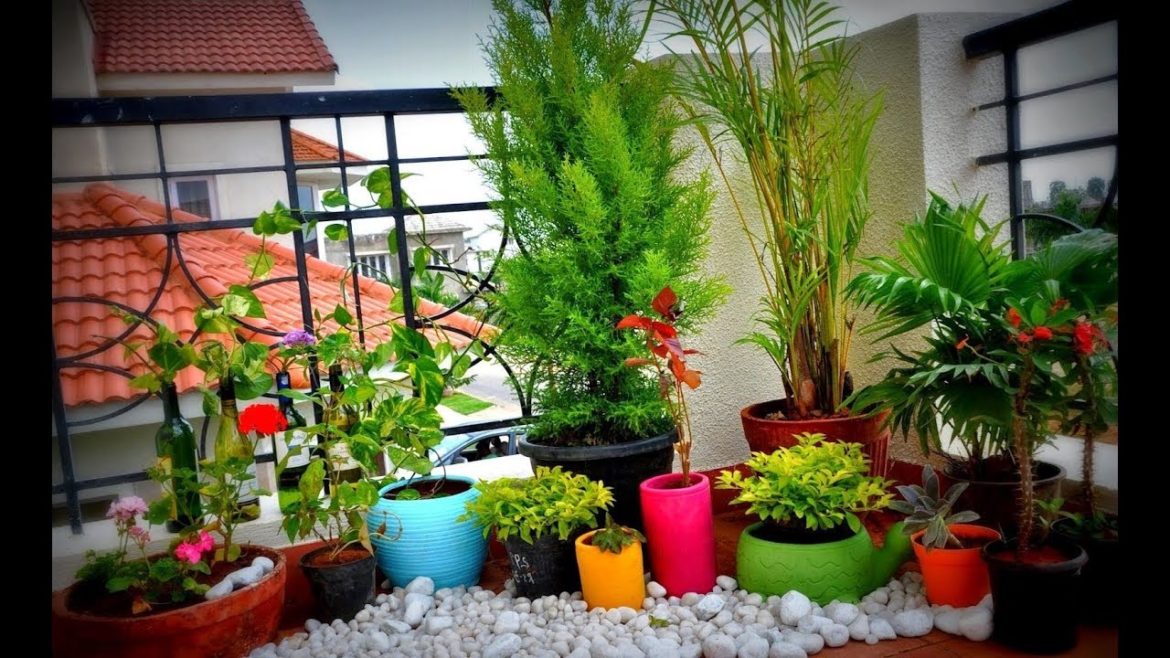 Apartment SMALL Balcony Garden Design Ideas