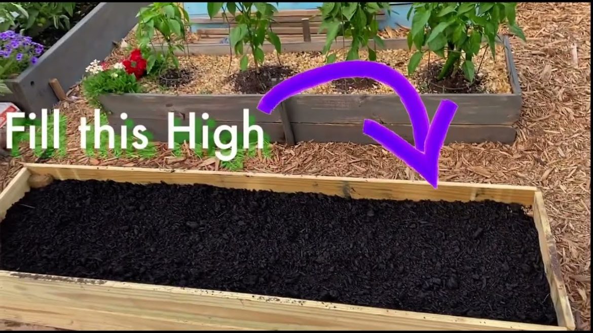 How to make a Simple & Cheap Raised Bed DIY How to make a Simple & Cheap Raised Bed DIY