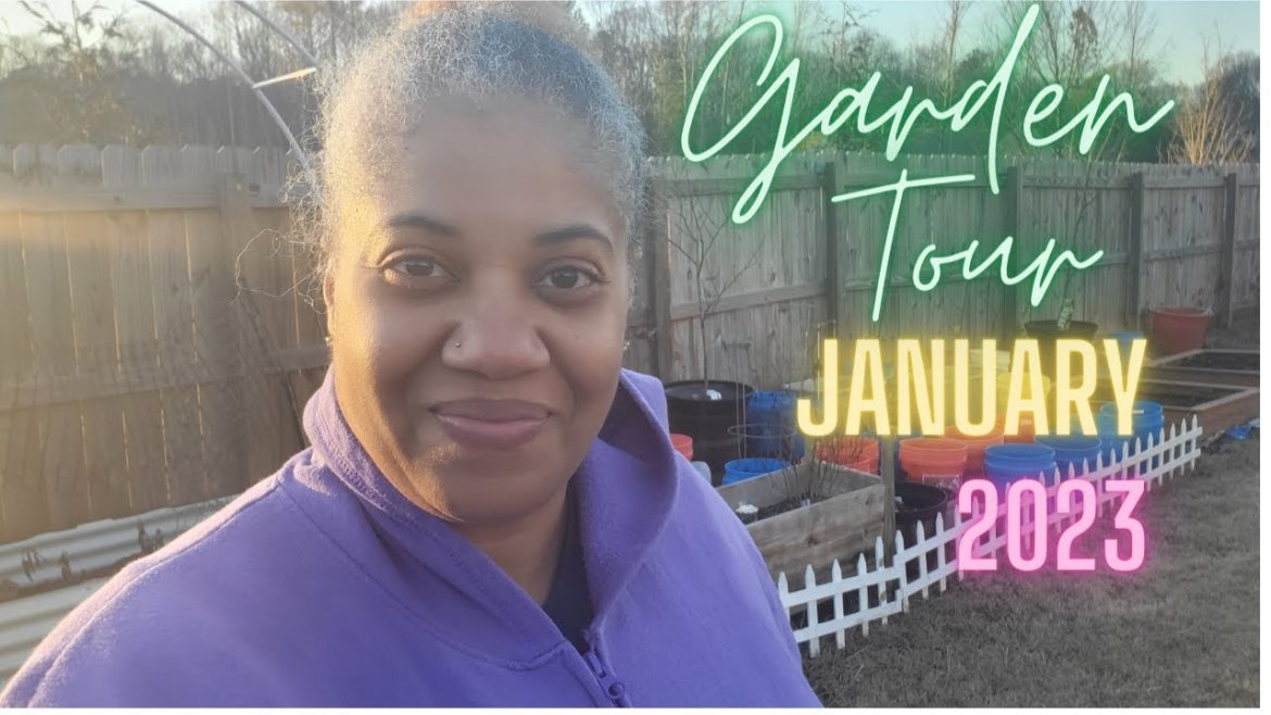 January 2023 Garden Tour | Everything Is Dead | It's a Hot Mess!
