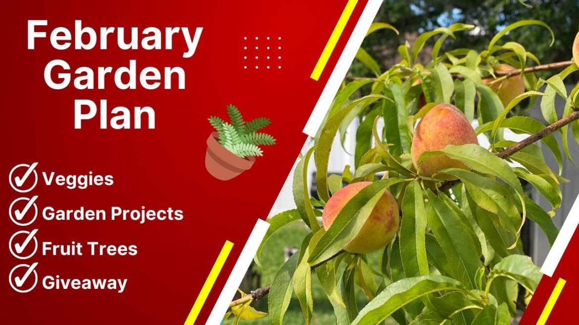 FEBRUARY GARDEN PLAN REVEALED AND FREE SEED GIVEAWAY!