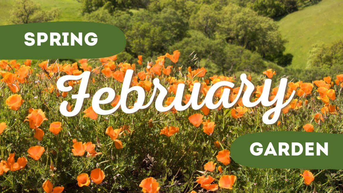 7 Beauty Flowers to Plant in February 🌻🌼 // Spring Flowers Planting Ideas ✨