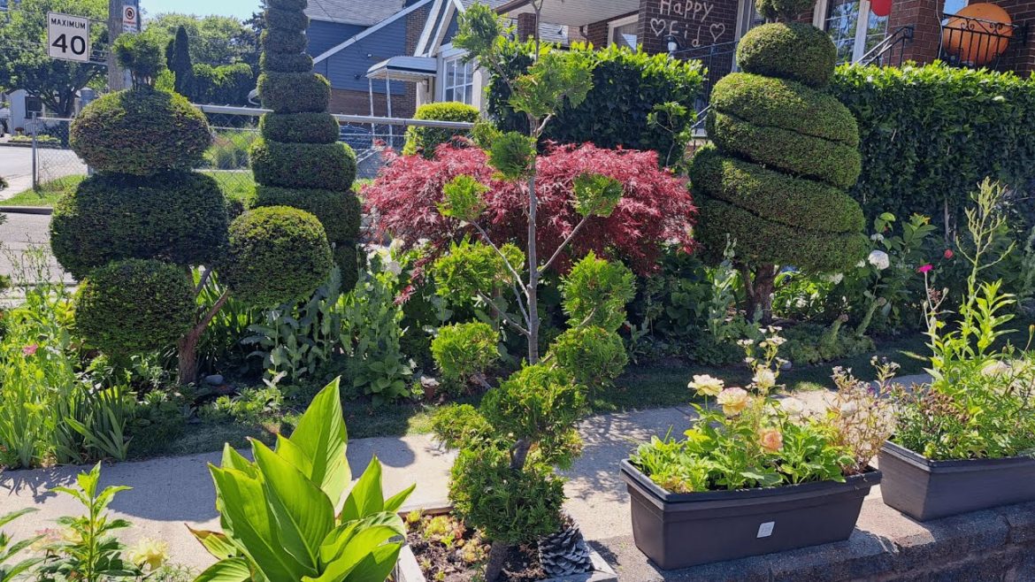 Brilliant Neighbourhood Garden | Small Garden Design