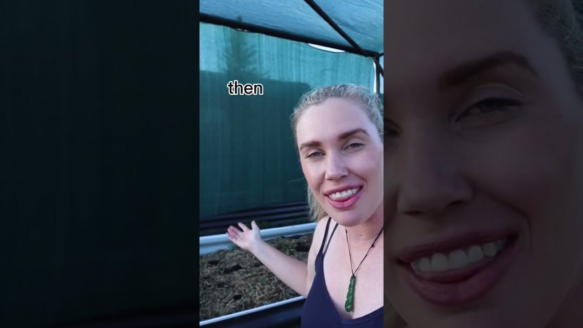 Do this for a thriving garden ☀️🌱#shorts #gardeningtips #perthgarden #ediblegarden