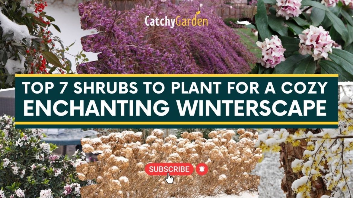 Top 7 Shrubs to Plant for a Cozy, Enchanting Winterscape 🍃🌷 // Gardening Tips
