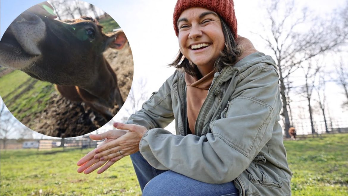 Roots and Refuge Farm: Visiting the Barn Animals (Miah’s Favorite Cow) | VLOG Visiting the Barn Animals (Miah's Favorite Cow) | VLOG