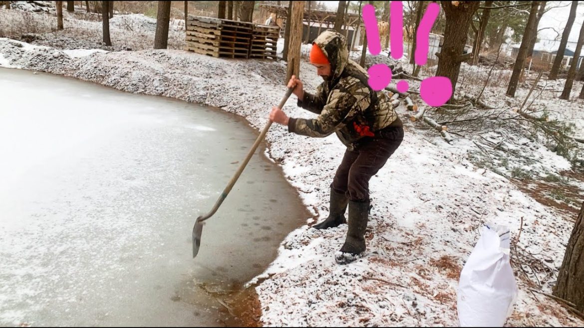 Clearing Cleared and Pond is Leaking!