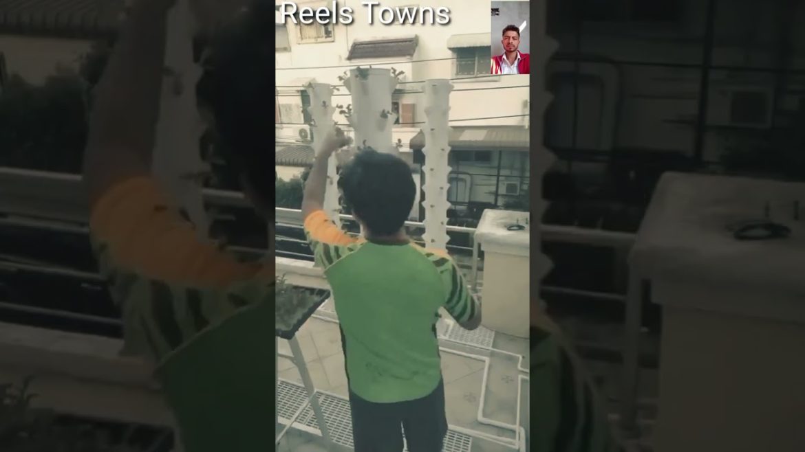 amazing backyard ideas #2in1 video# short #Shortvideo#