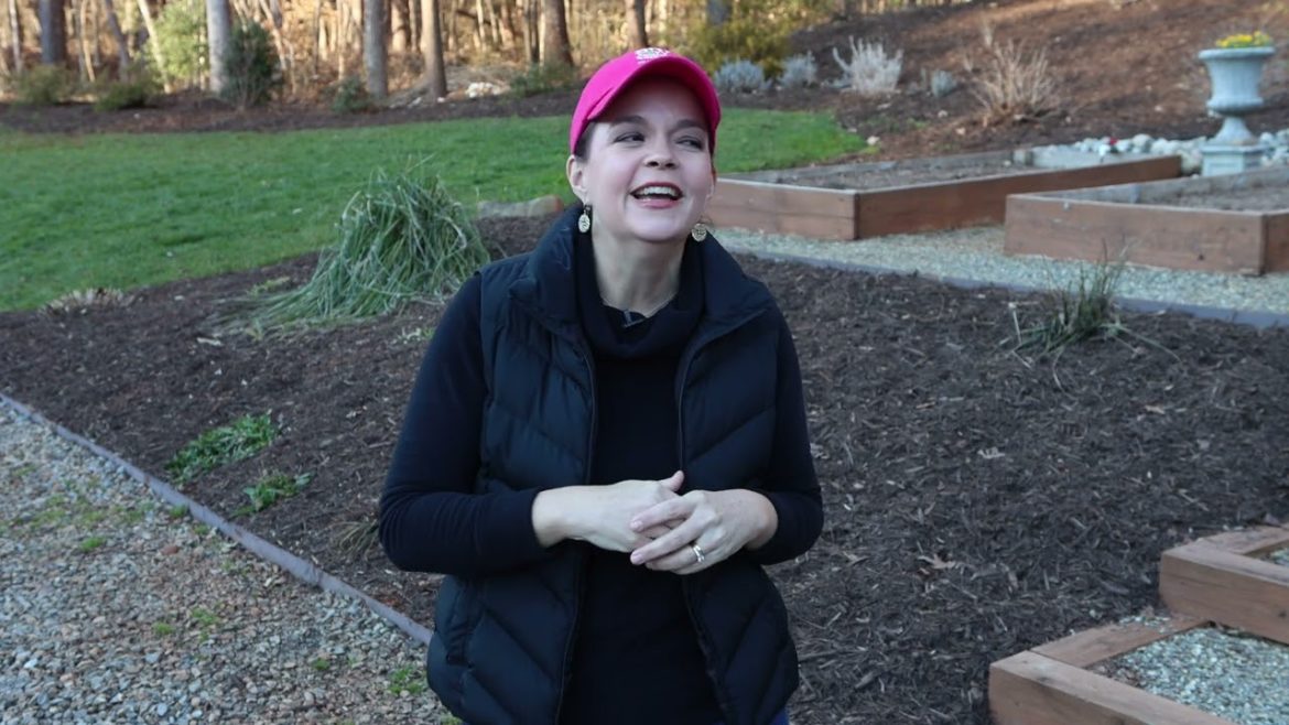 What You Need In Your Garden Toolbox | Gardening with Creekside What You Need In Your Garden Toolbox | Gardening with Creekside