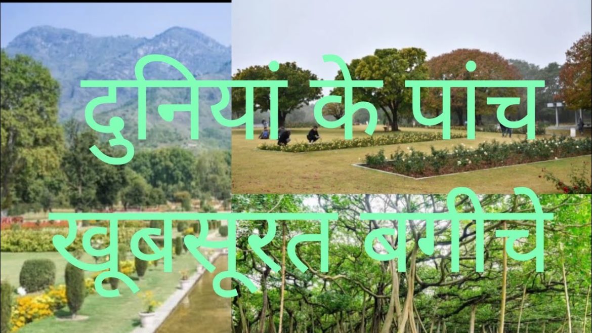 top 5 beautiful garden|| beautyful garden|| garden answer|| plants|| gardening idea. top 5 beautiful garden|| beautyful garden|| garden answer|| plants|| gardening idea.